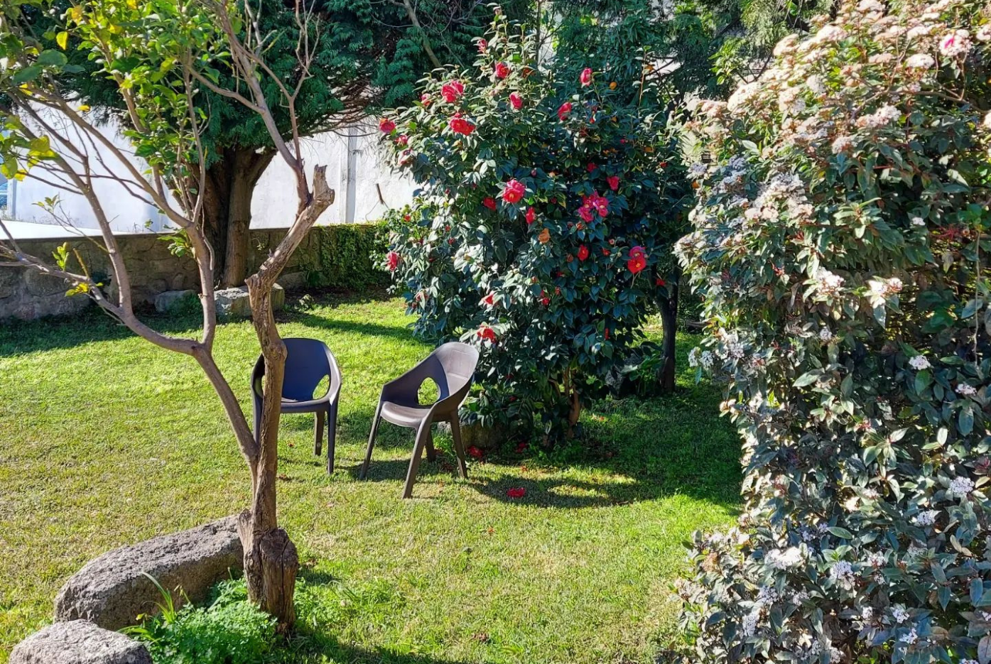 Garden in the AirPorto Hostel
